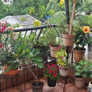 Balcony Setup